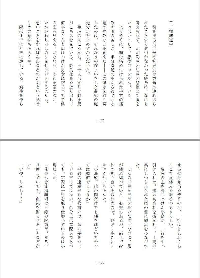 試し読み 5