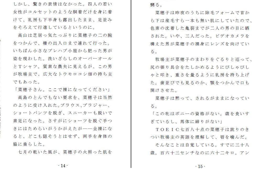 試し読み 2