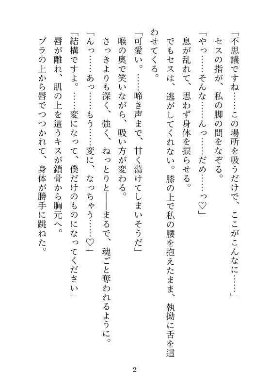試し読み 2