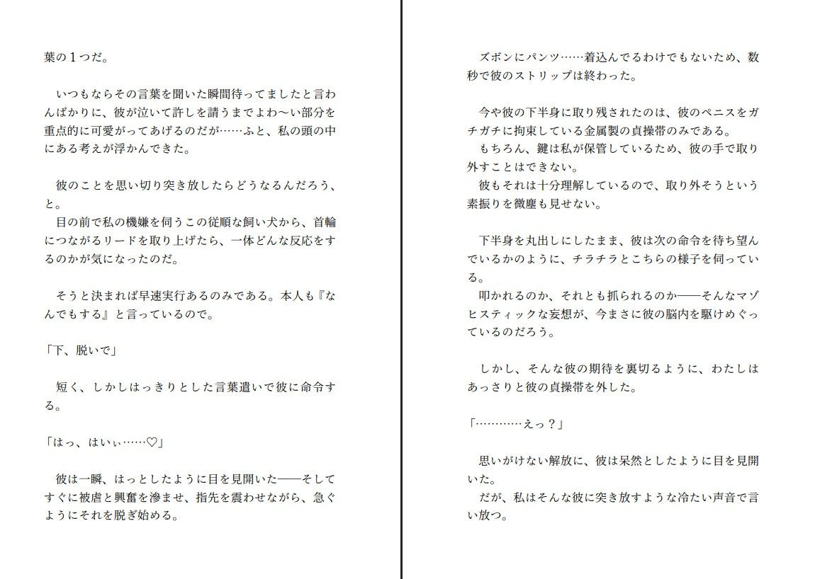 試し読み 2