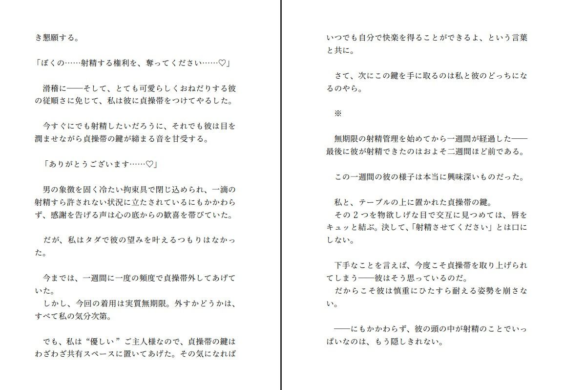試し読み 4