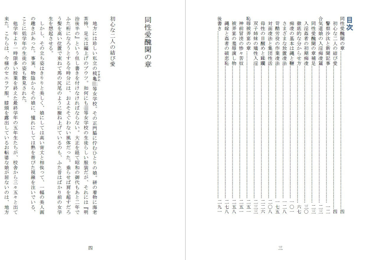 試し読み 2