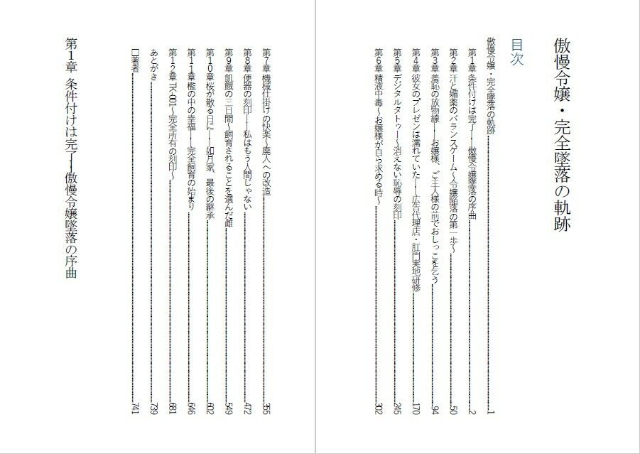 試し読み 1