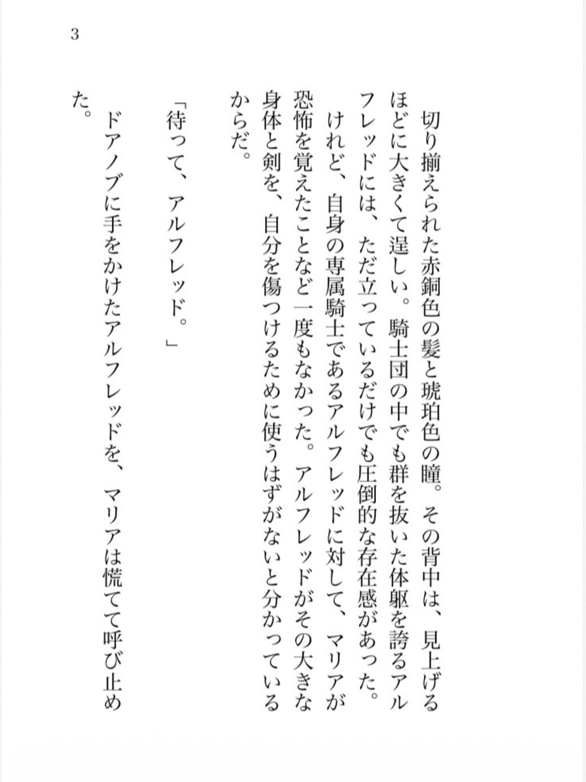 試し読み 2
