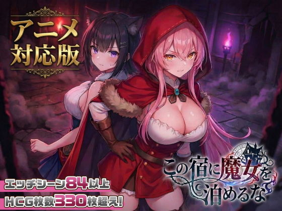 パッケージ画像