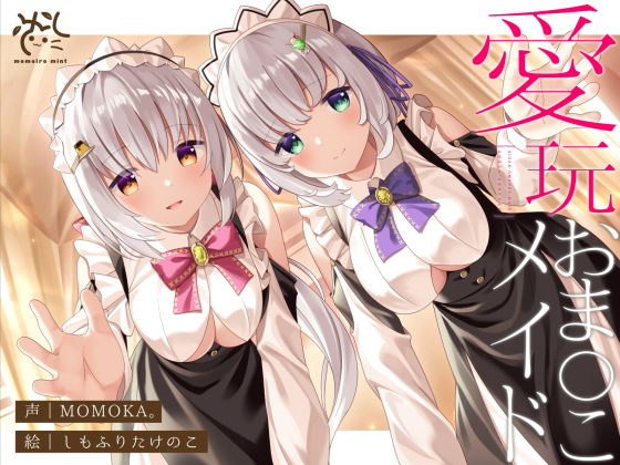 パッケージ画像